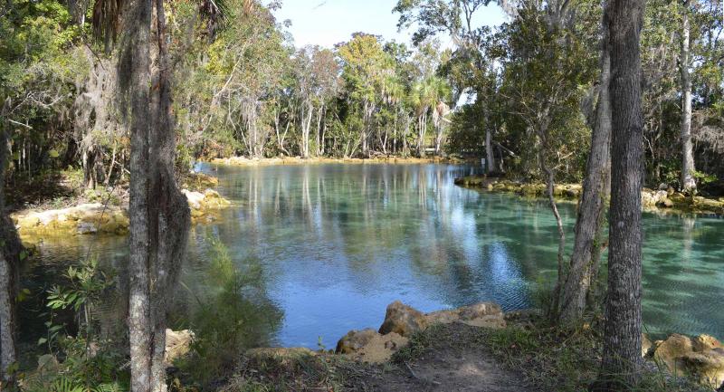 3 Sisters Spring surrounded by trees