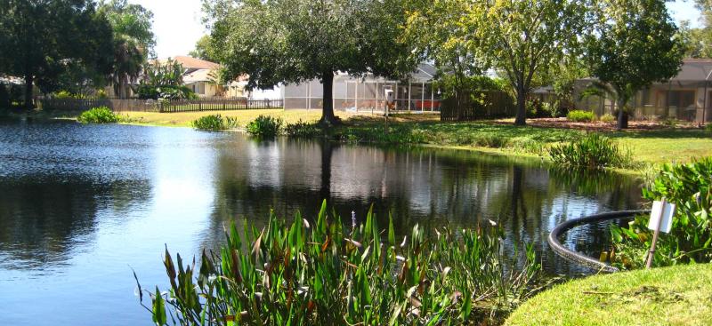 Community stormwater retention pond