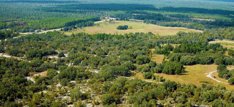 Annutteliga Hammock aerial image