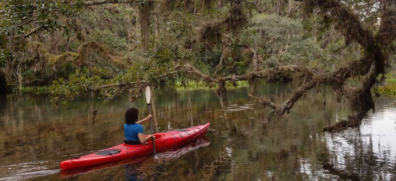 Woman kayaker on river with overhanging branches