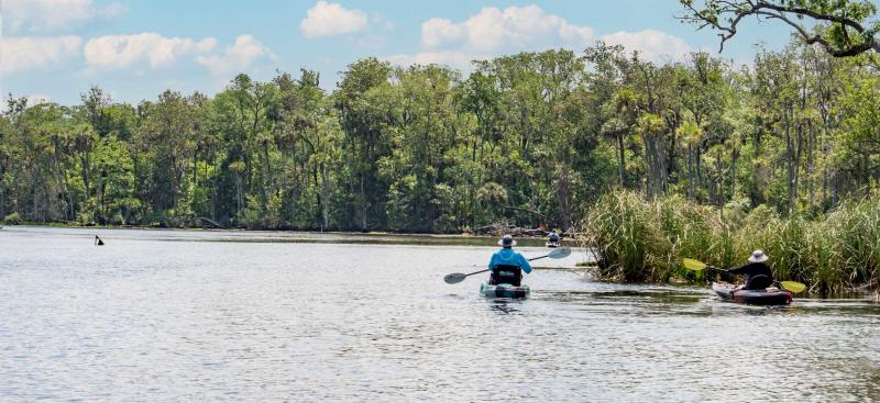 Couple kayaking on open river with shoreline visible