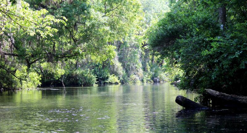 Chassahowitzka River in the afternoon