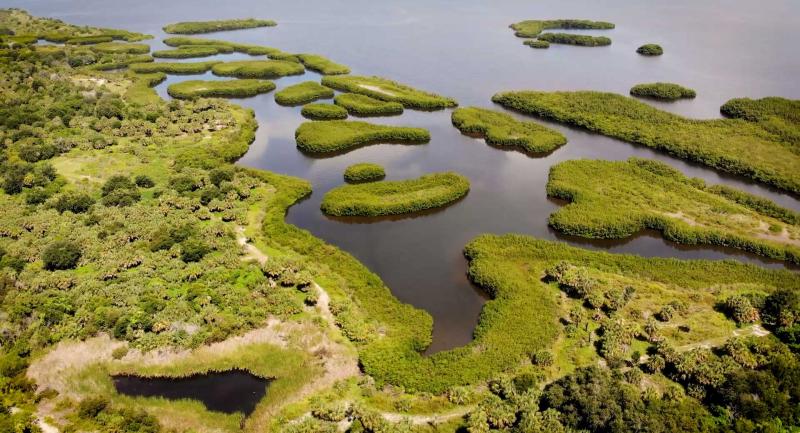 Aerial view of Tampa Bay estuary