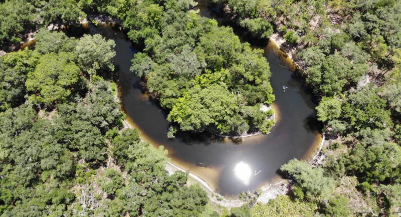 Aerial view of a river bend in forest