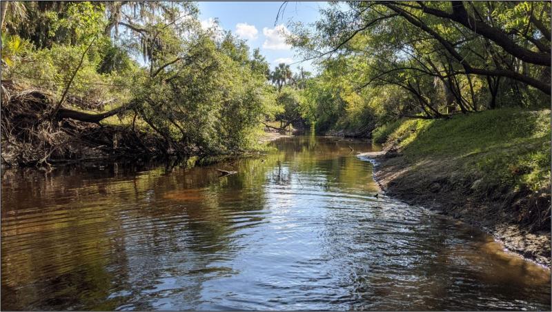 View of Horse Creek. 