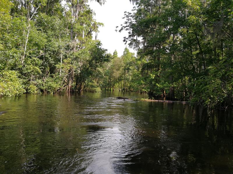 Picture of a portion of the Upper Peace River. 