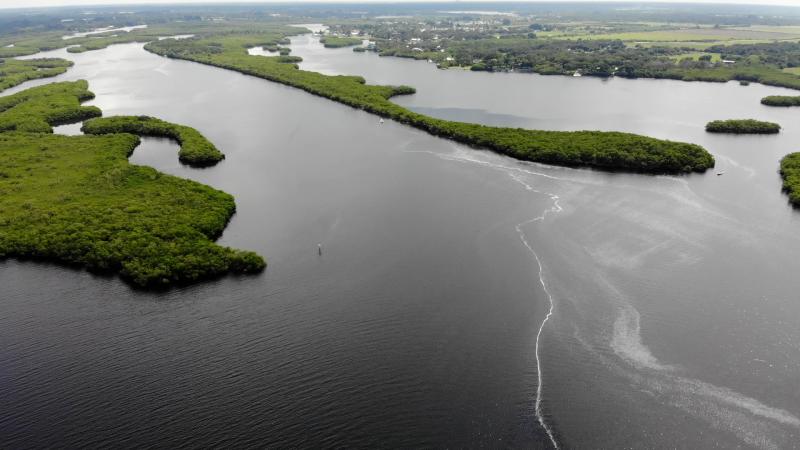 Aerial view of the Little Manatee River.