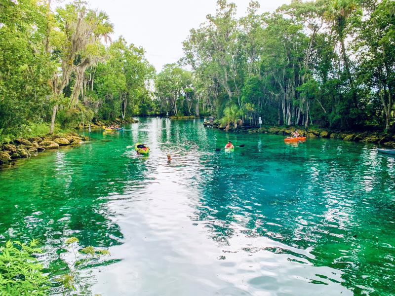 A picture of Three Sisters Springs.