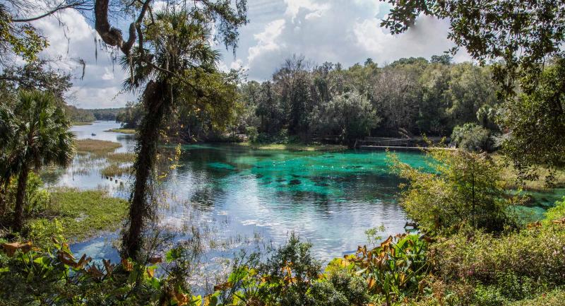 Summer view of Rainbow Springs and River