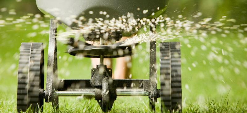 Fertilizing a yard in Florida