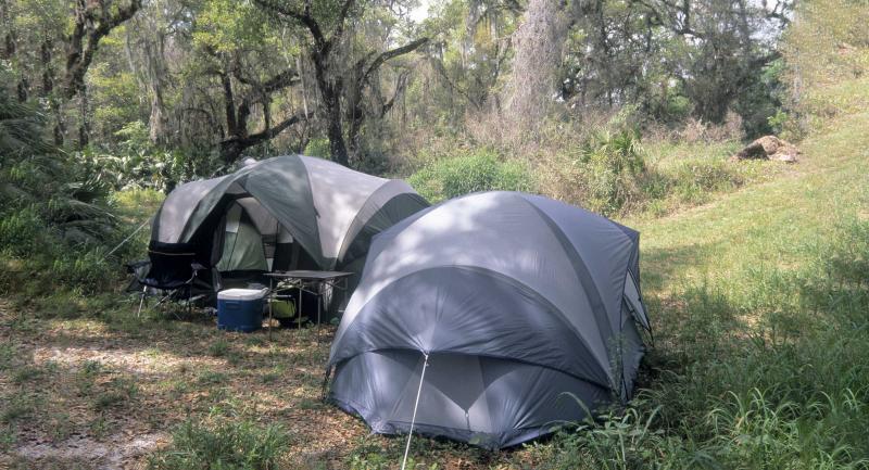 Two tents in wooded campsite near the Peace River
