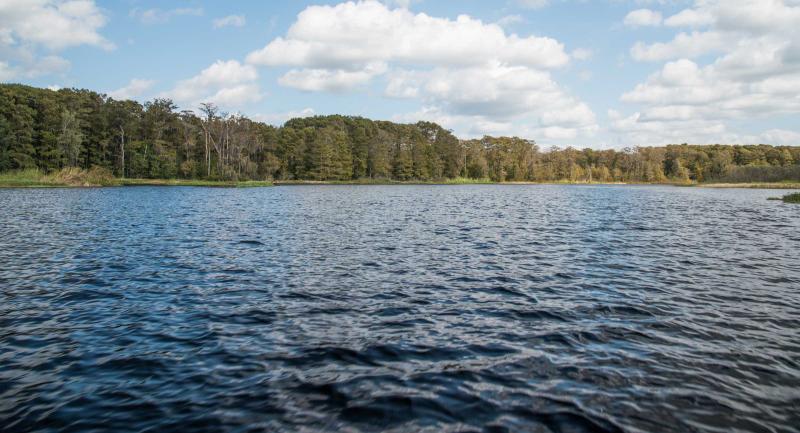 Open water with trees on the far shore