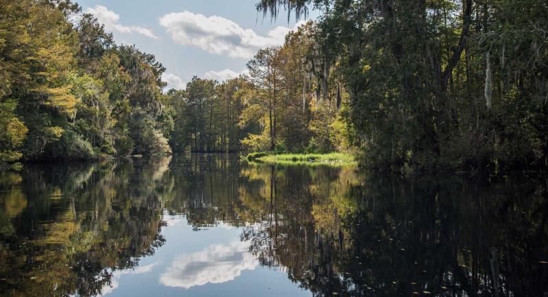 Sun splashed view of tranquil river