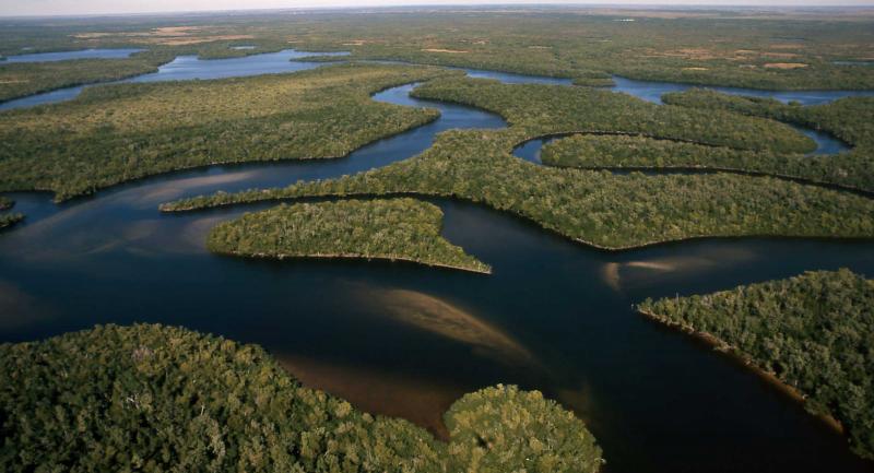 Aerial view of coastal estuaries