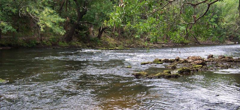 river flowing over rocks