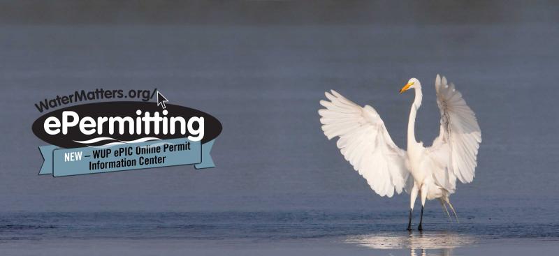 ePermitting logo with snowy white egret