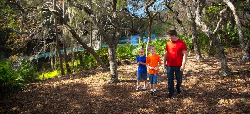 Father and sons walking in woods