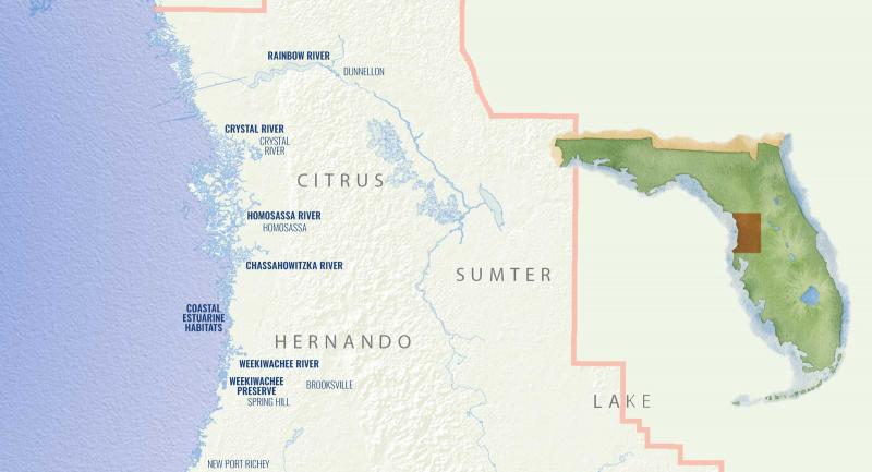 Map of the Springs Coast watershed area