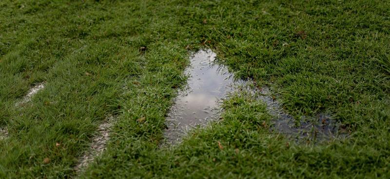 excess water on lawn