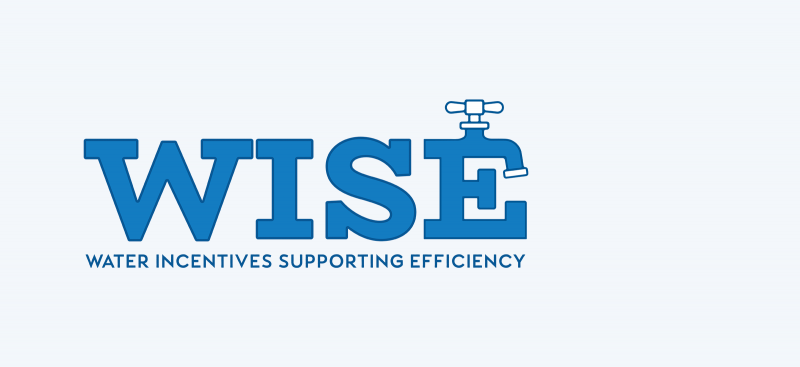 WISE Program logo