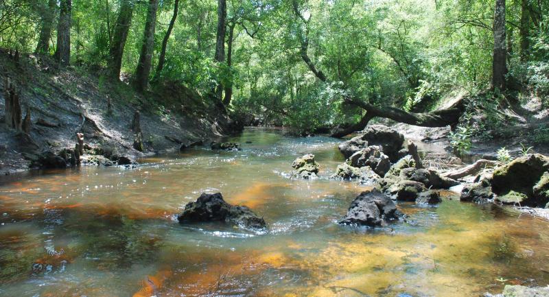 Exposed rock on the river