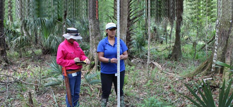 Water Resources Bureau environmental scientists in the field