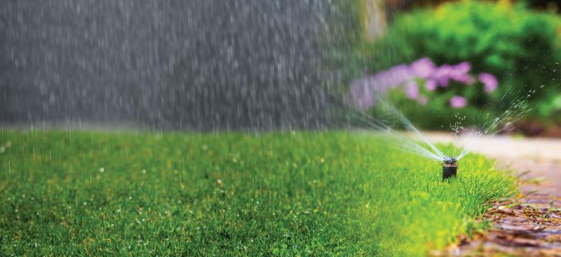 sprinkler and rain on a green yard