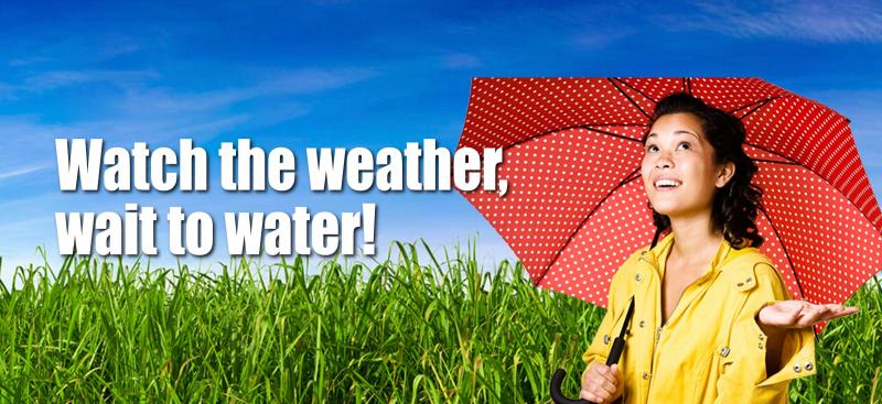 girl standing under umbrella and the text Watch the Weather, wait to water!