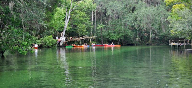 People recreating on Weeki Wachee River