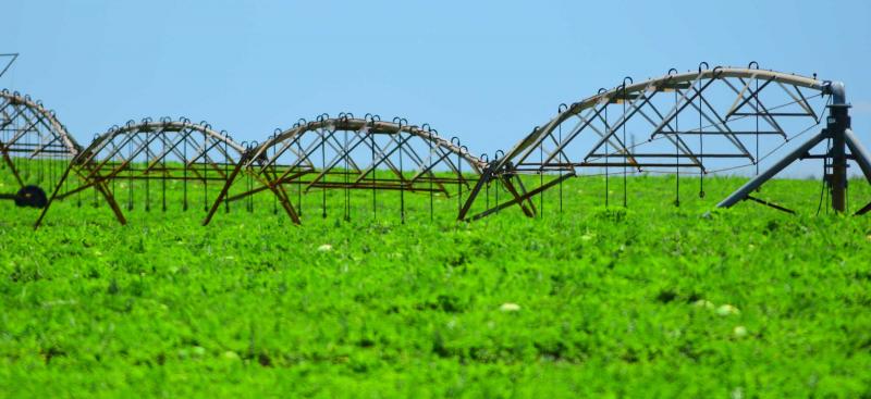 overhead irrigation system over crop