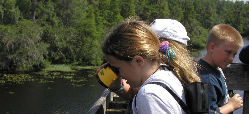 Students on a field study looking at water