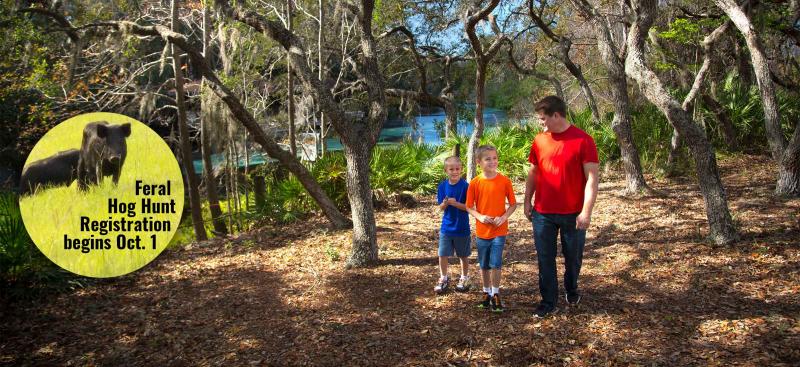 Father and sons walking in woods