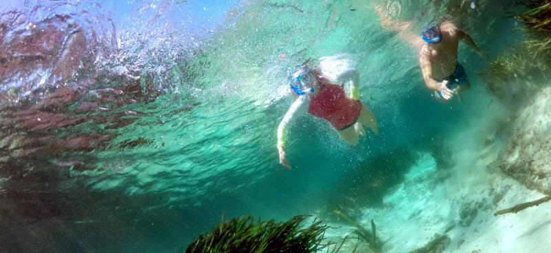 Couple snorkling in Weeki Wachee Spring