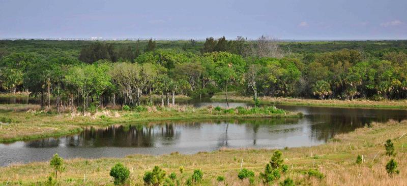 restored water body and surrounding uplands