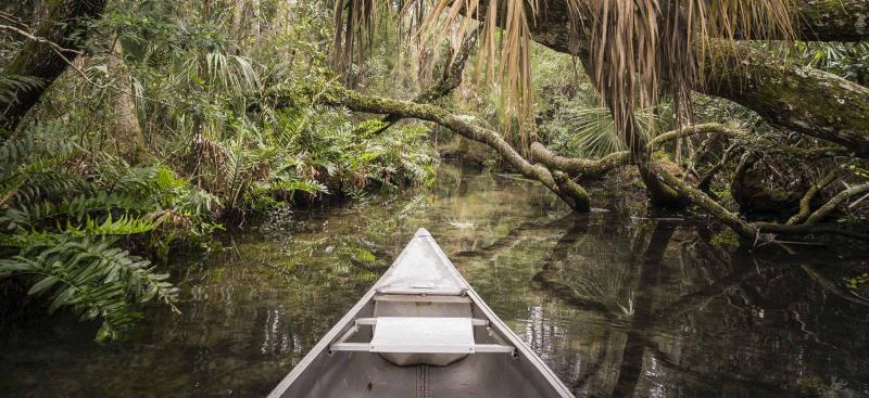 Canoeing on Chassahowitzka Rive