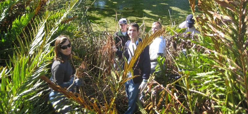 Hillsborough River clean up volunteers