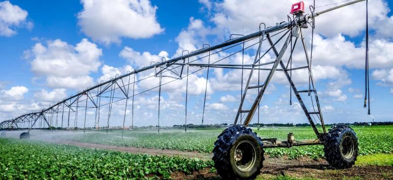overhead irrigation over crop