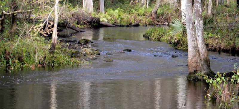 winding river