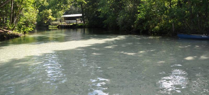 Shallow portion of Weeki Wachee River