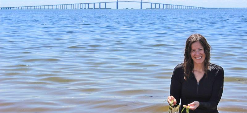 District staff standing in Tampa Bay holding seagrass