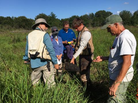 scientists in field