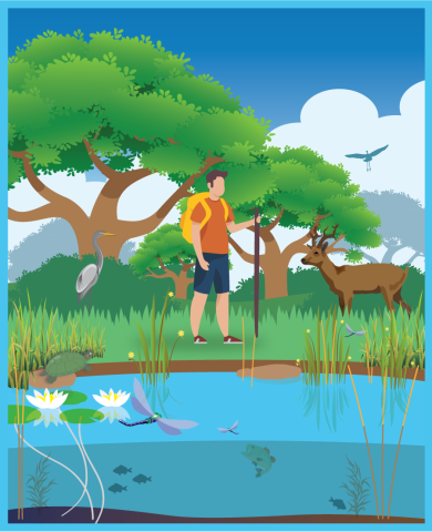 H20-Zone-Graphics [Water Basics - Water Habitat