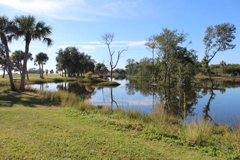 Lake Shore