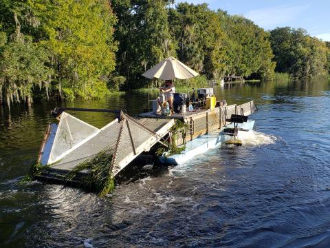 removing hydrilla River