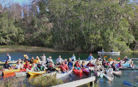 Paddle picture