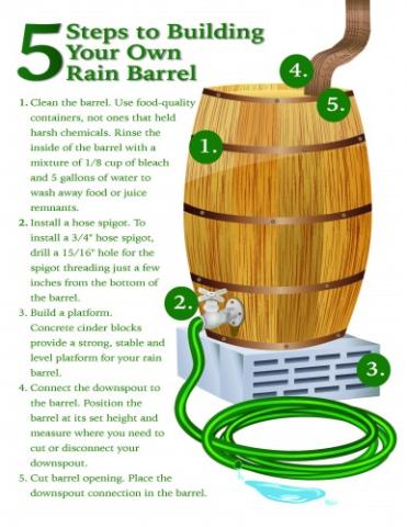 Rain barrel Infographic