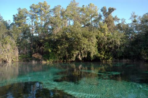 Rainbow springs