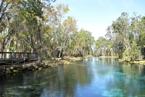 three sisters springs