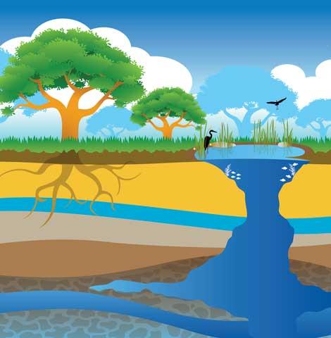 Illustration of a typical aquifer.