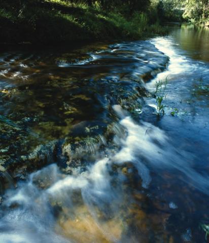 river scene